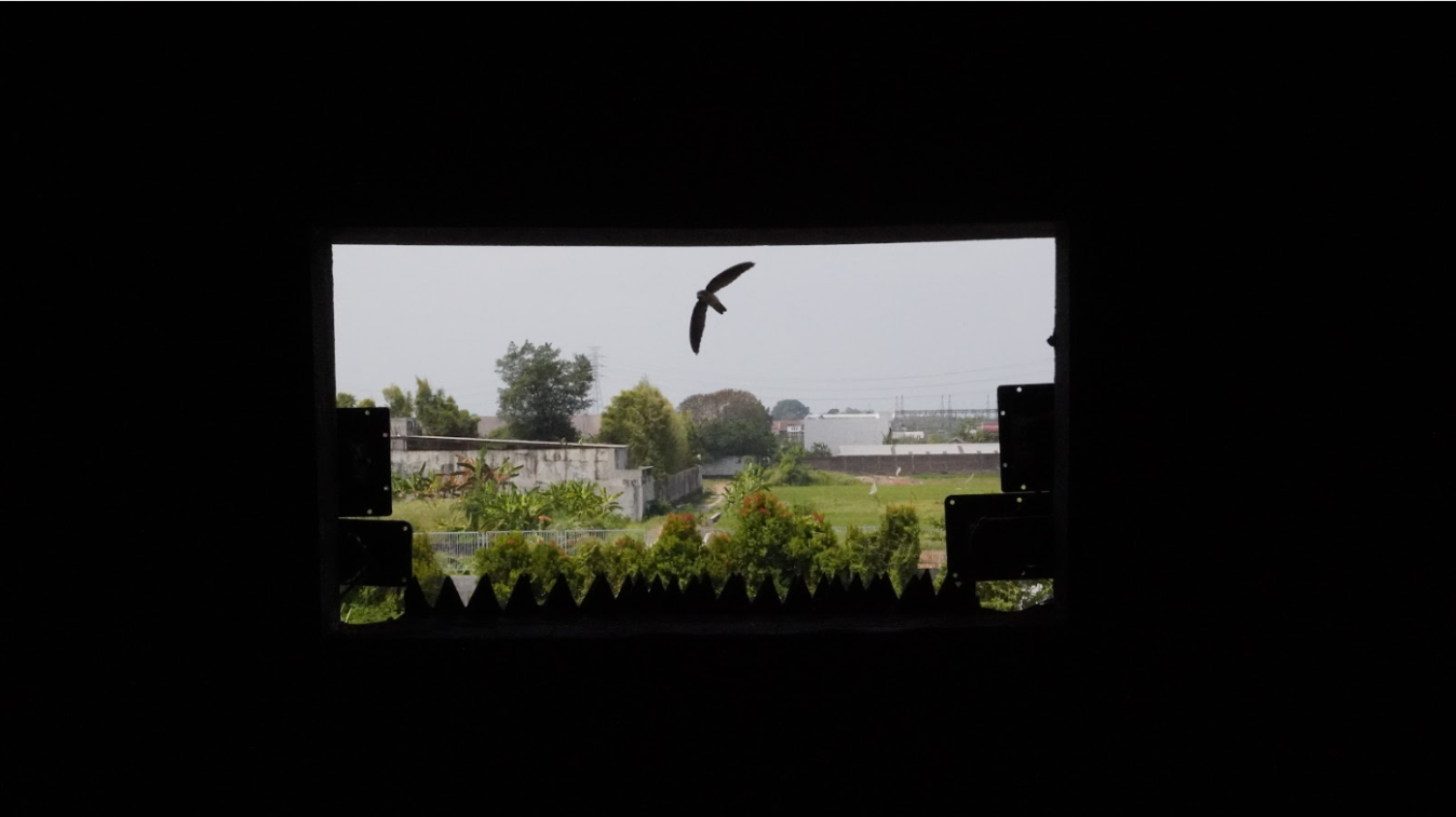 Fungsi suara walet buatan