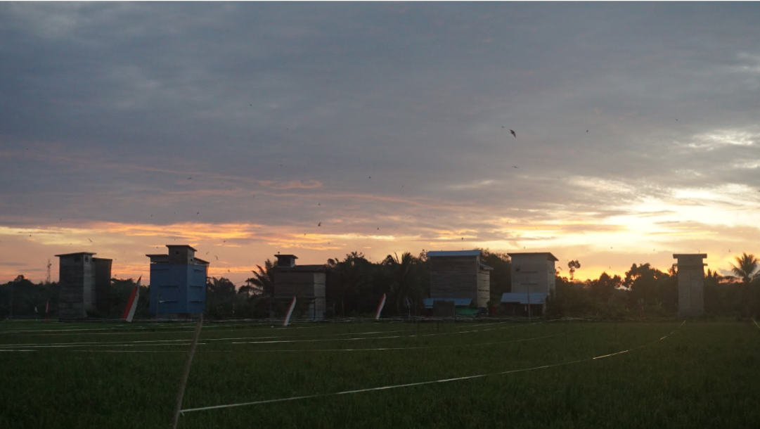 RBW di Area Perang Suara Walet